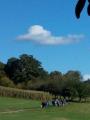 herbstsp.-21-11.jpg