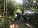 herbstsp.21-24.jpg